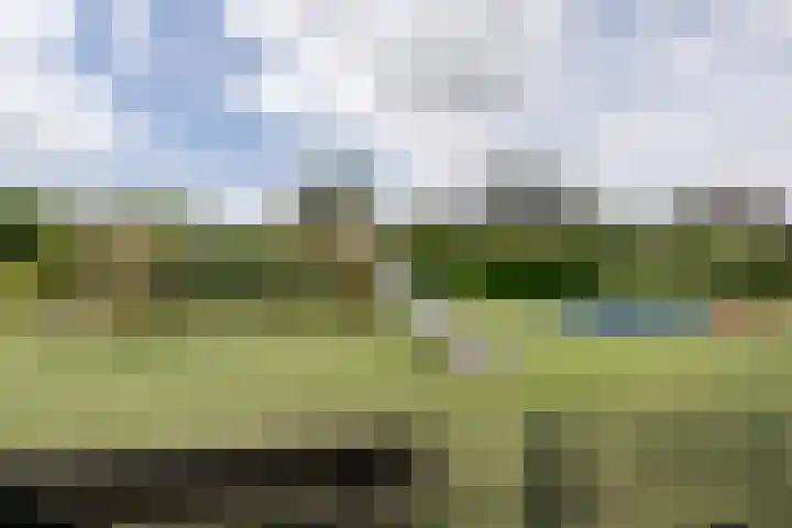 Reigerlaan 1 Heemstede thumbnail 31