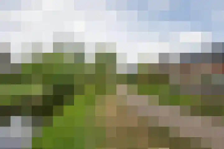 Reigerlaan 1 Heemstede thumbnail 32