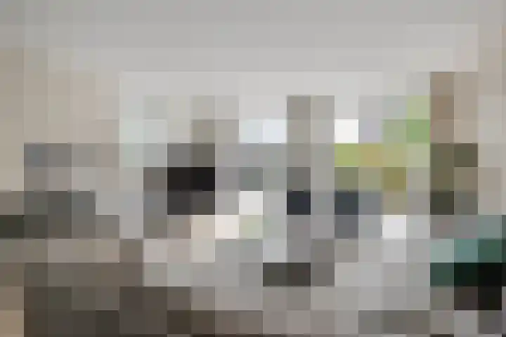 Reigerlaan 1 Heemstede thumbnail 4