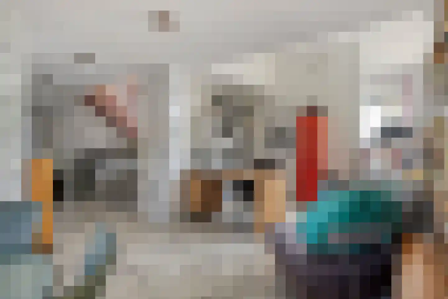 Reigerlaan 1 Kamperland thumbnail 20