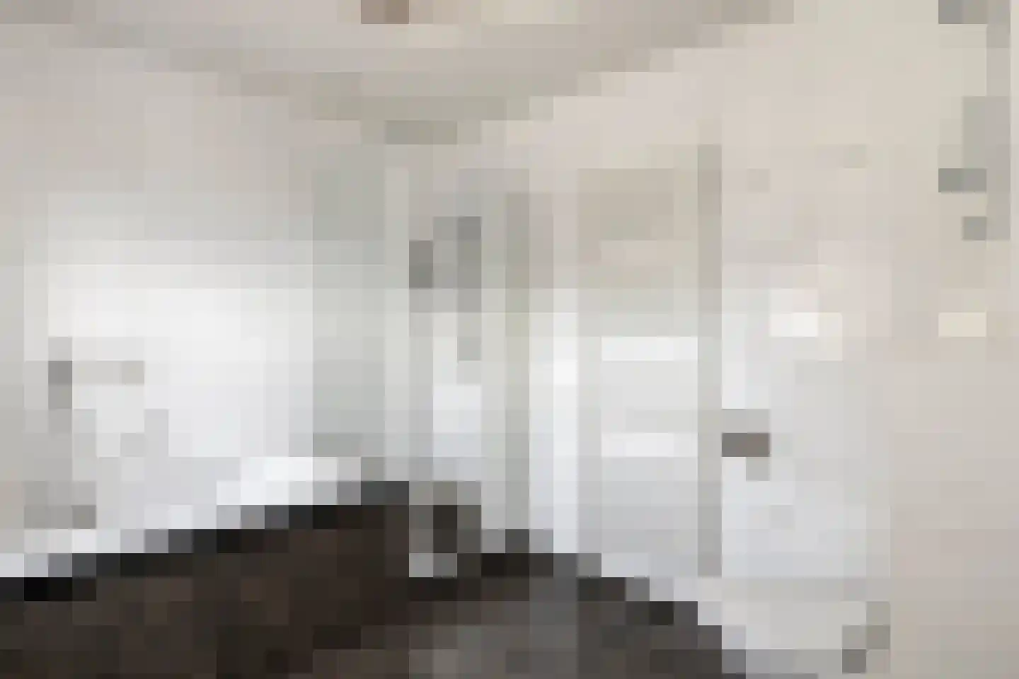 Reigerlaan 1 Kamperland thumbnail 32