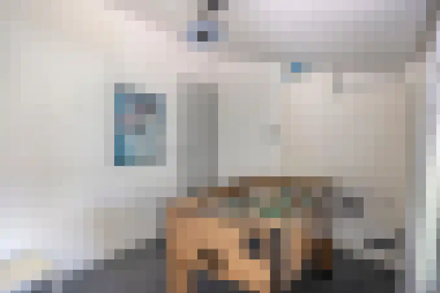 Reigerlaan 1 Kamperland thumbnail 38