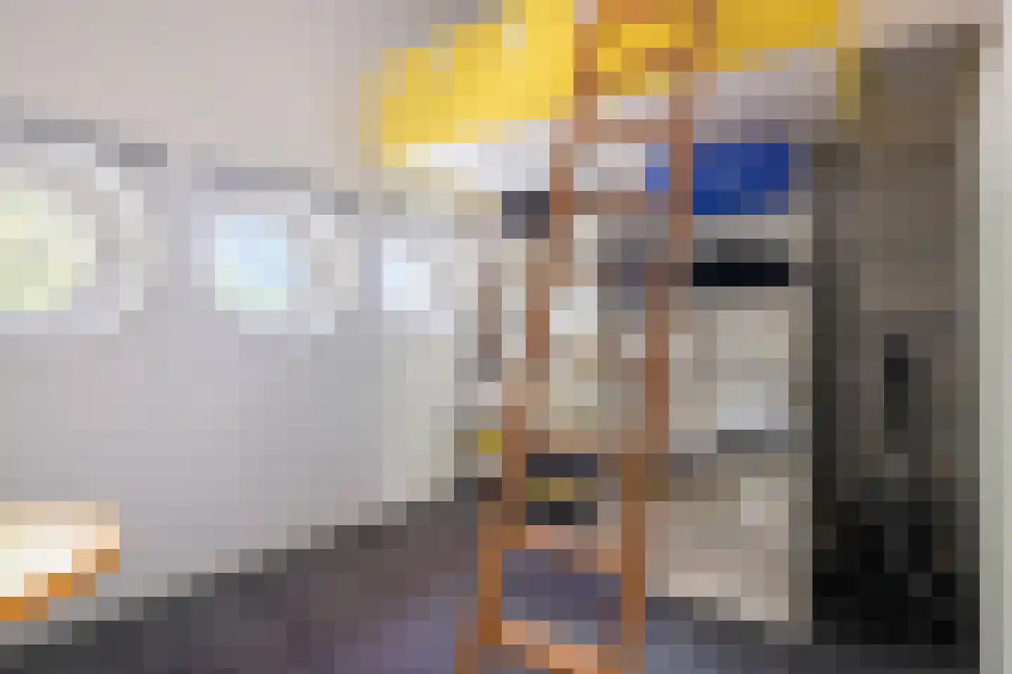 Reigerlaan 1 Kamperland thumbnail 39
