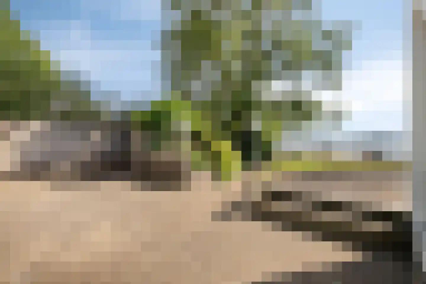 Reigerlaan 1 Kamperland thumbnail 44