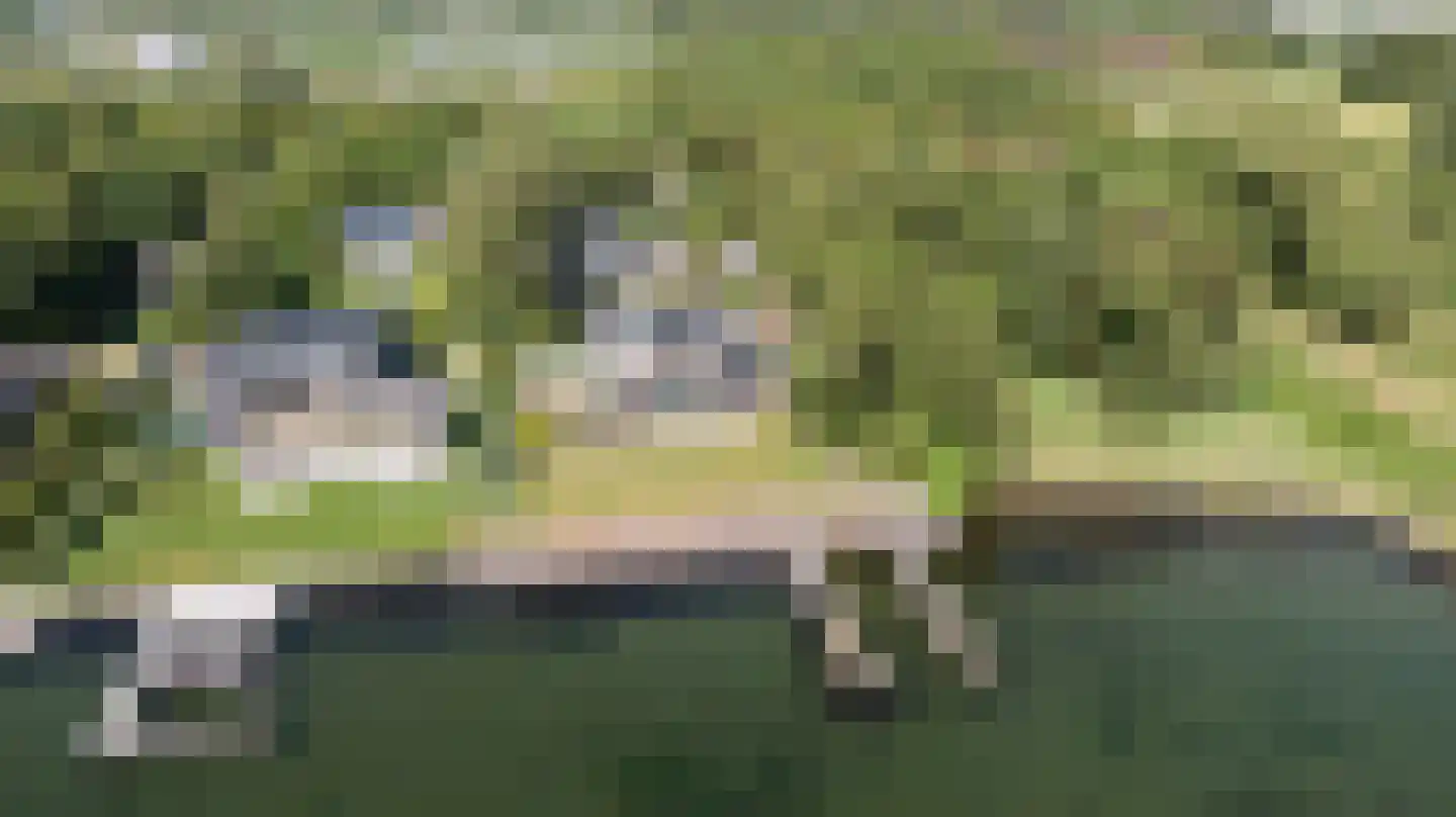 Reigerlaan 1 Kamperland thumbnail 51