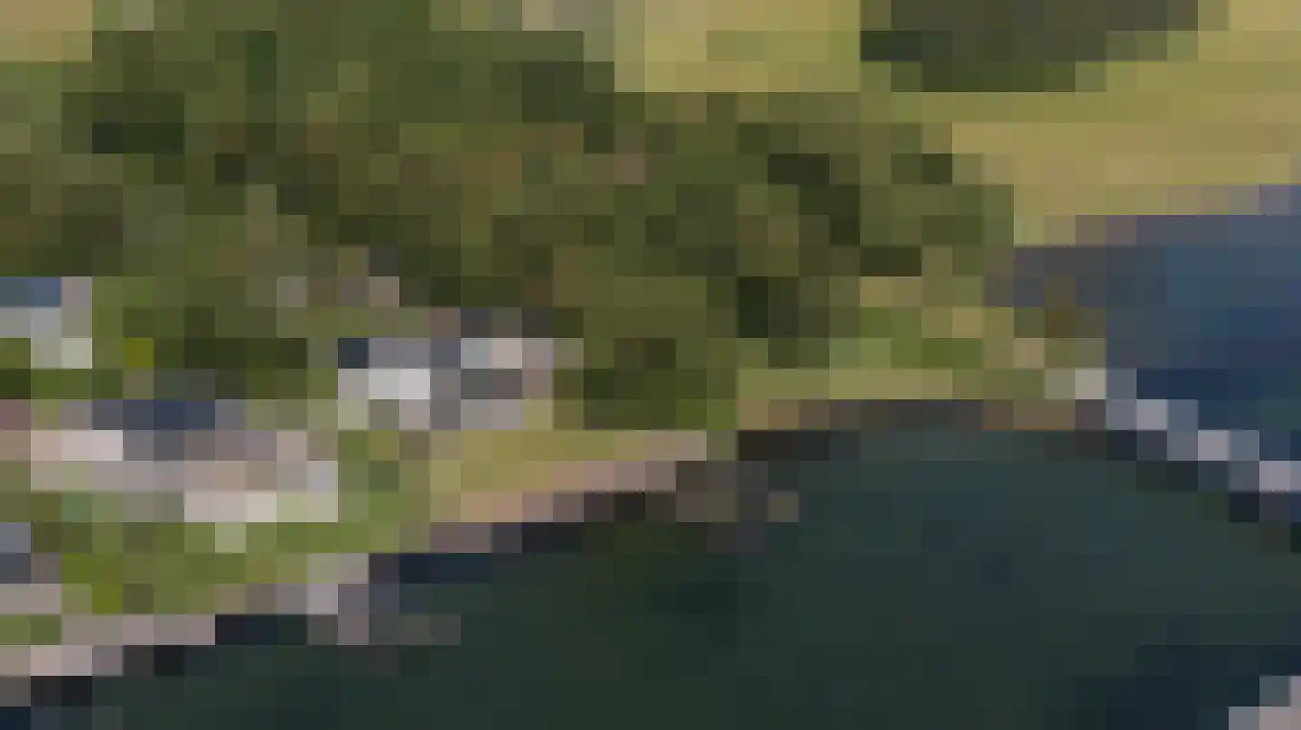 Reigerlaan 1 Kamperland thumbnail 52