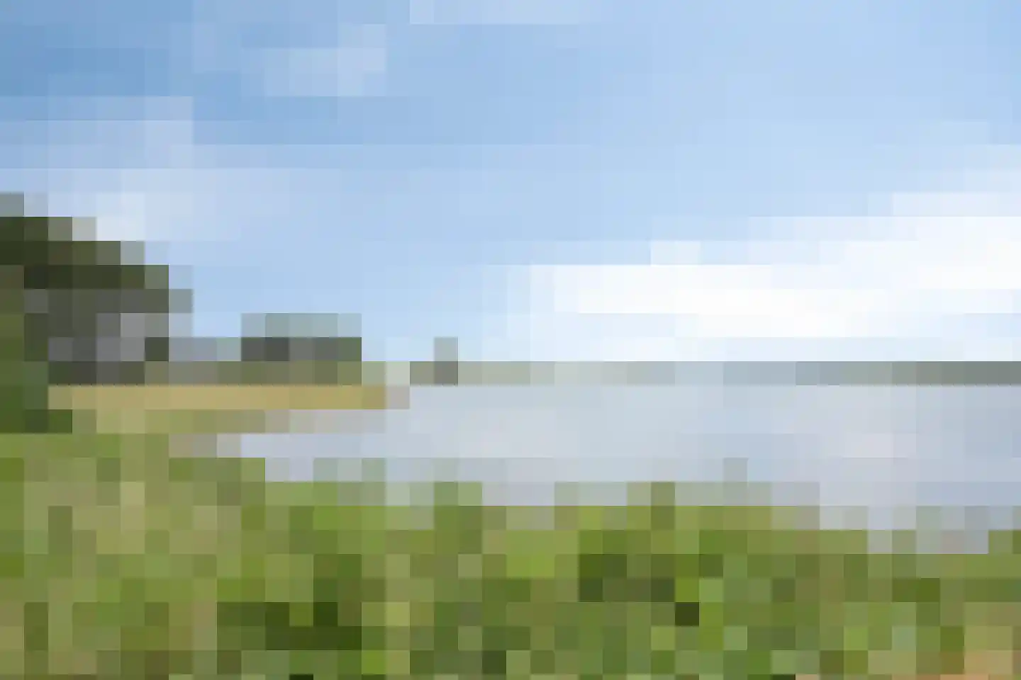 Reigerlaan 1 Kamperland thumbnail 56