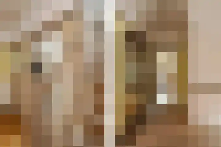 Reigerlaan 10 Eindhoven thumbnail 21