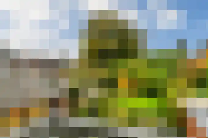 Reigerlaan 10 Eindhoven thumbnail 25