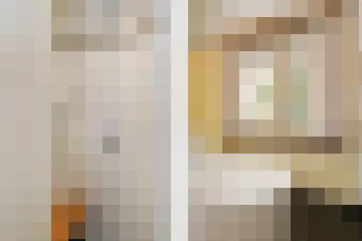 Reigerlaan 10 Eindhoven thumbnail 27