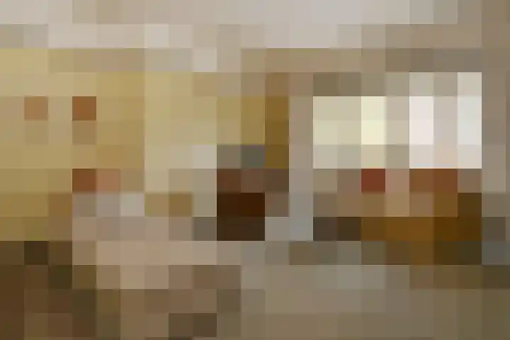 Reigerlaan 10 Eindhoven thumbnail 29