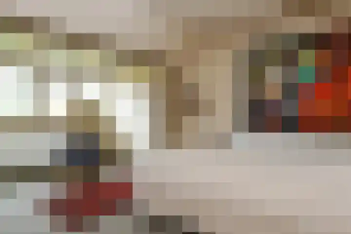 Reigerlaan 10 Eindhoven thumbnail 35