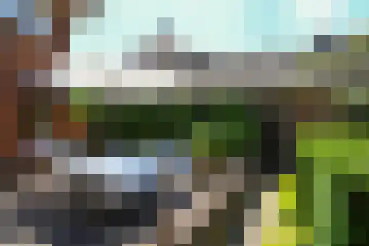 Reigerlaan 10 Eindhoven thumbnail 41