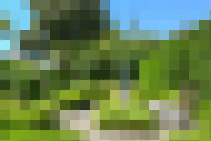 Reigerlaan 10 Eindhoven thumbnail 43