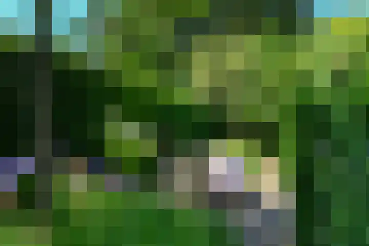 Reigerlaan 10 Eindhoven thumbnail 45