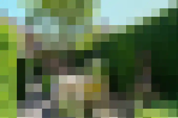 Reigerlaan 10 Eindhoven thumbnail 46