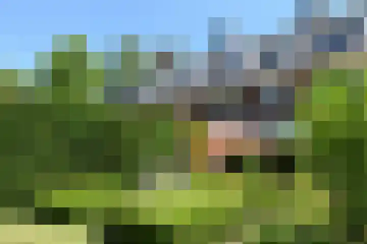 Reigerlaan 10 Eindhoven thumbnail 47
