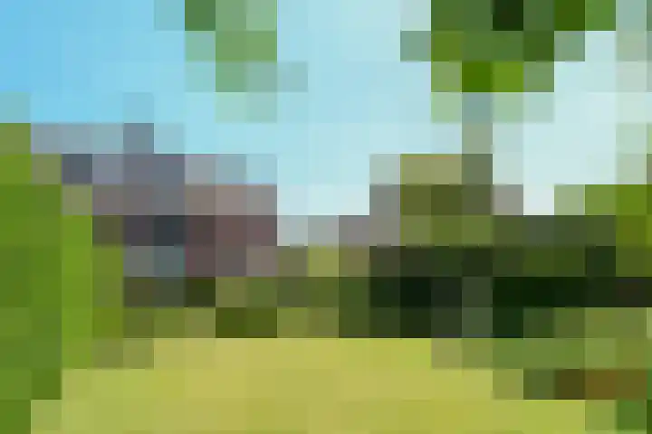 Reigerlaan 10 Eindhoven thumbnail 48
