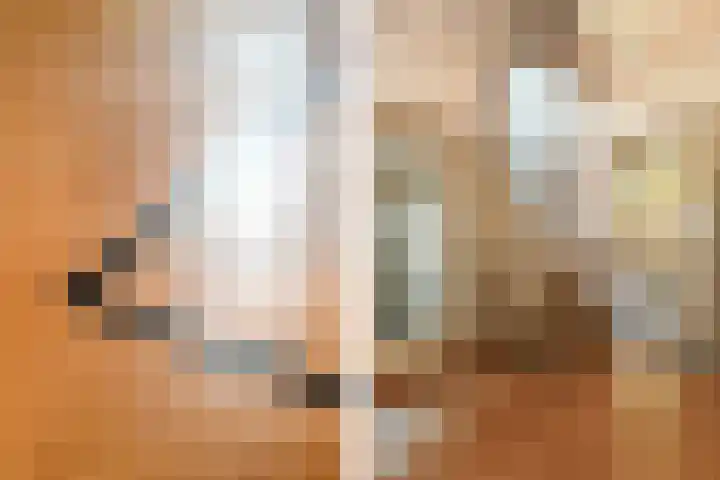 Reigerlaan 10 Eindhoven thumbnail 5