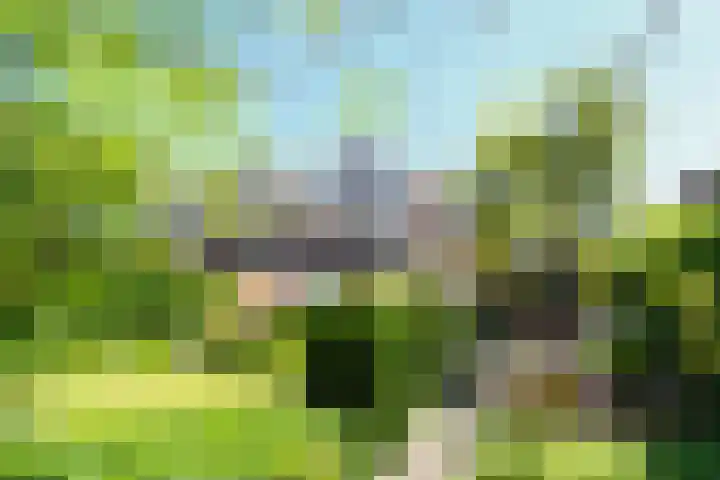 Reigerlaan 10 Eindhoven thumbnail 50