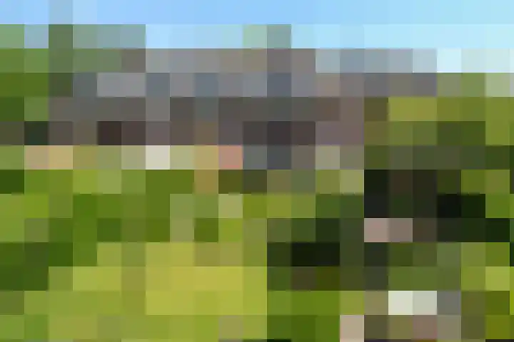 Reigerlaan 10 Eindhoven thumbnail 51