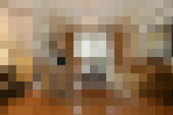 Reigerlaan 10 Eindhoven thumbnail 6