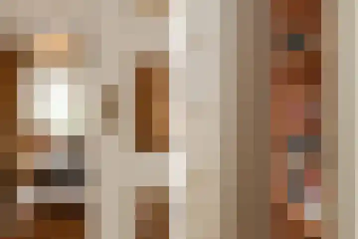 Reigerlaan 10 Eindhoven thumbnail 7
