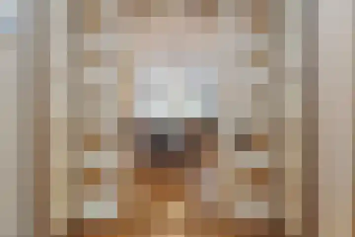 Reigerlaan 10 Eindhoven thumbnail 8