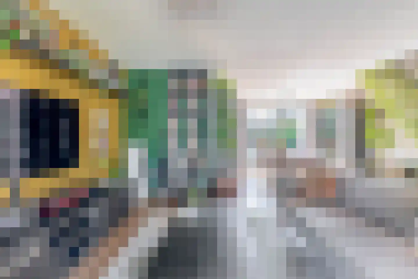 Reigerlaan 10 Ouderkerk aan den IJssel thumbnail 11