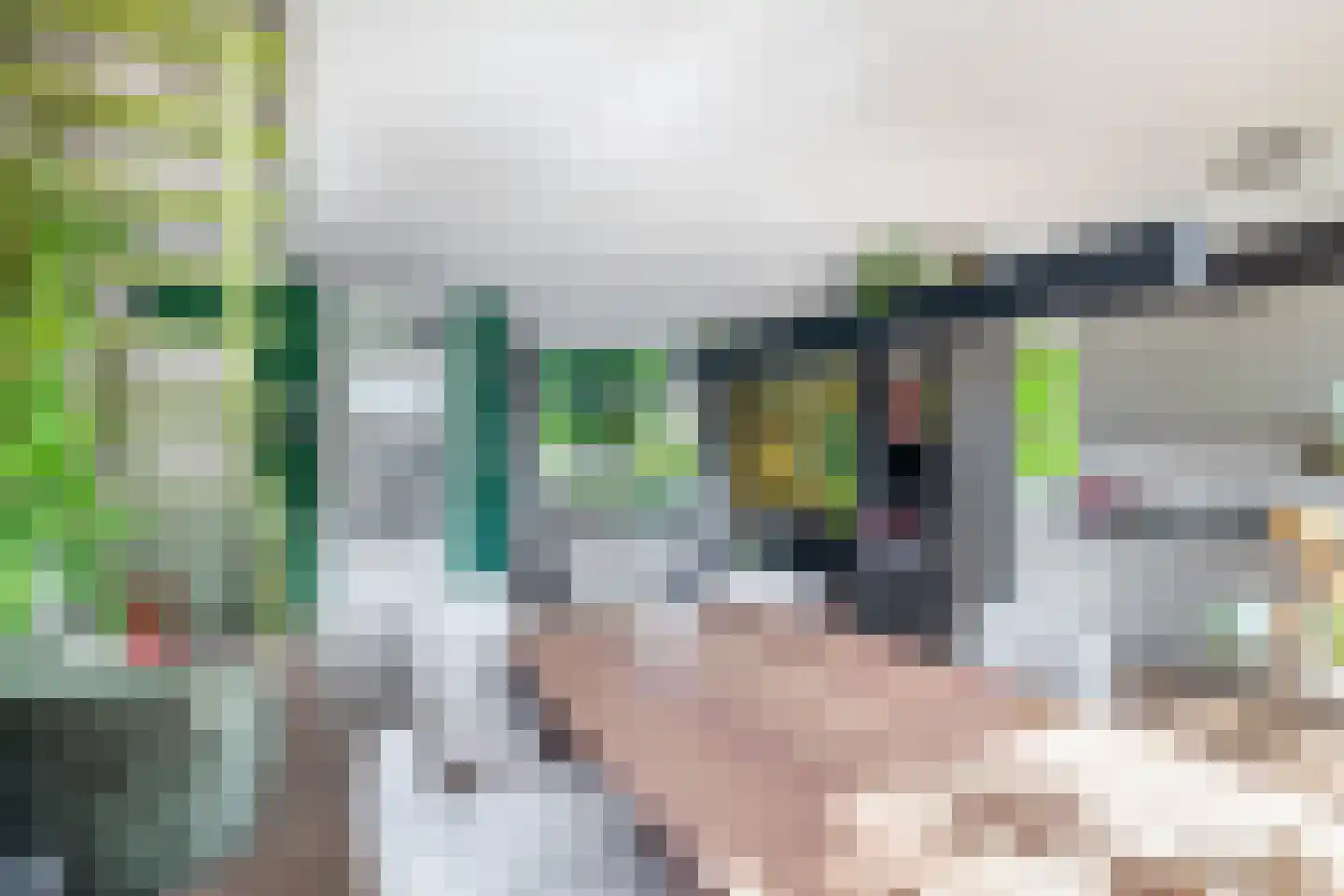 Reigerlaan 10 Ouderkerk aan den IJssel thumbnail 16