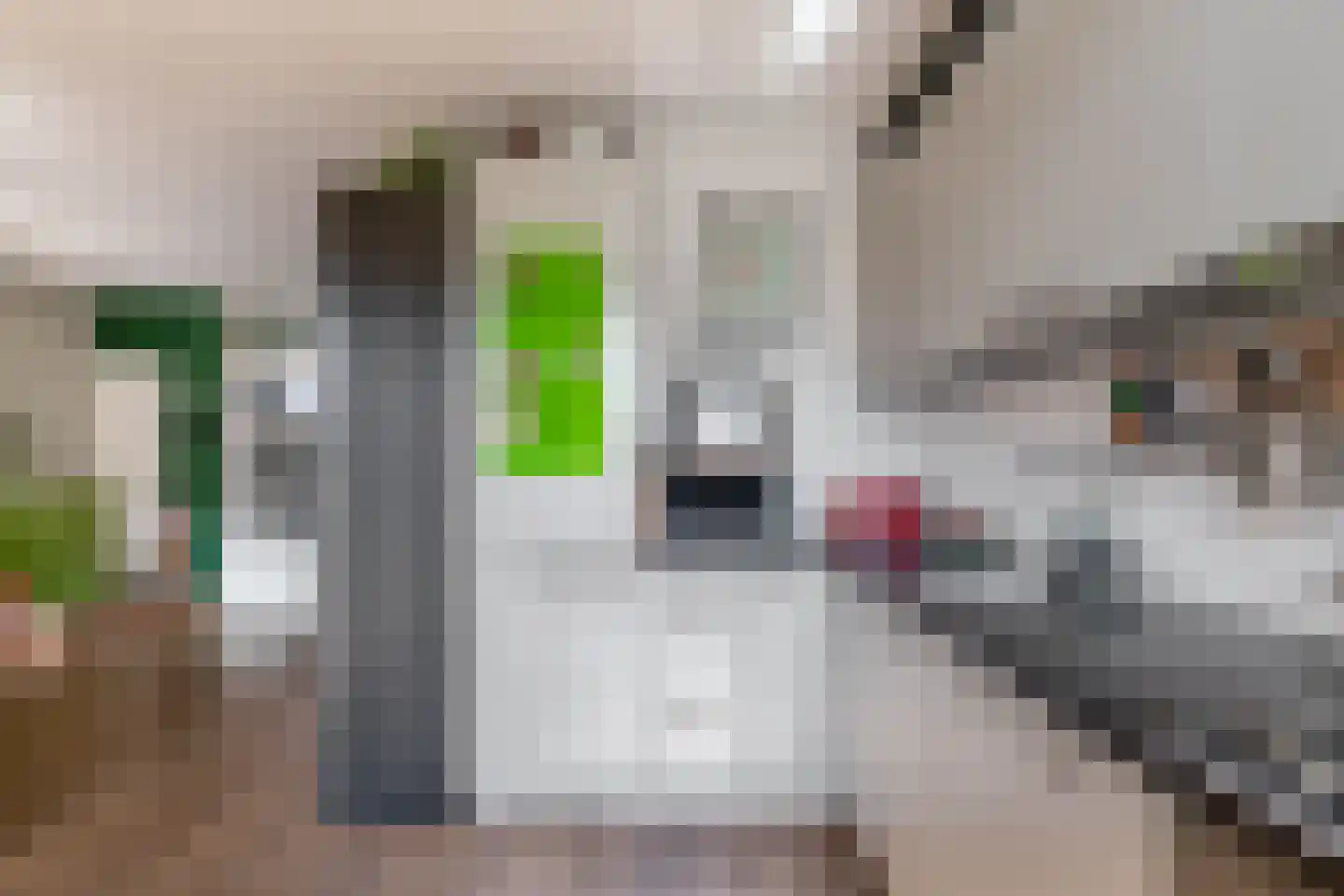 Reigerlaan 10 Ouderkerk aan den IJssel thumbnail 20