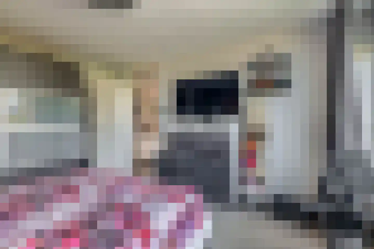 Reigerlaan 10 Ouderkerk aan den IJssel thumbnail 24