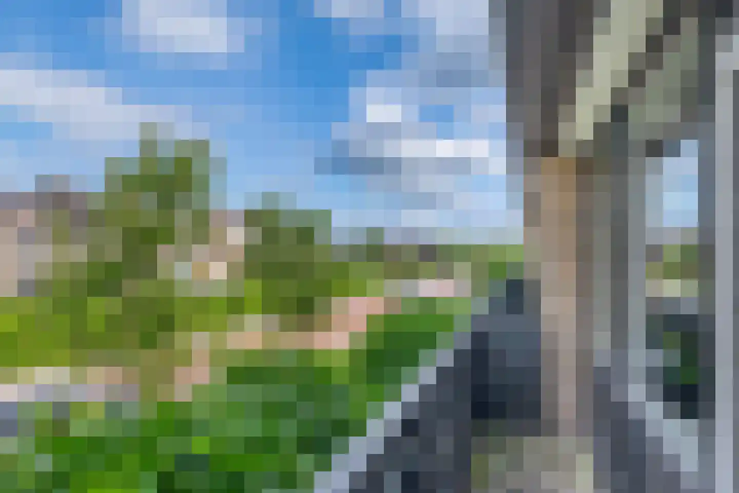 Reigerlaan 10 Ouderkerk aan den IJssel thumbnail 25