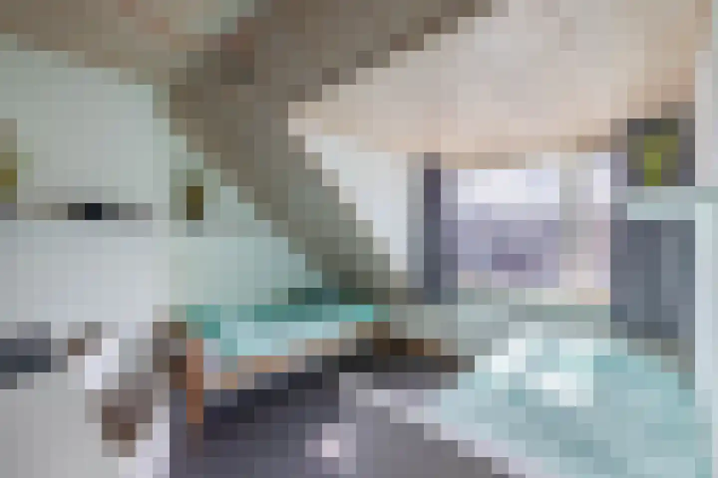 Reigerlaan 10 Ouderkerk aan den IJssel thumbnail 32