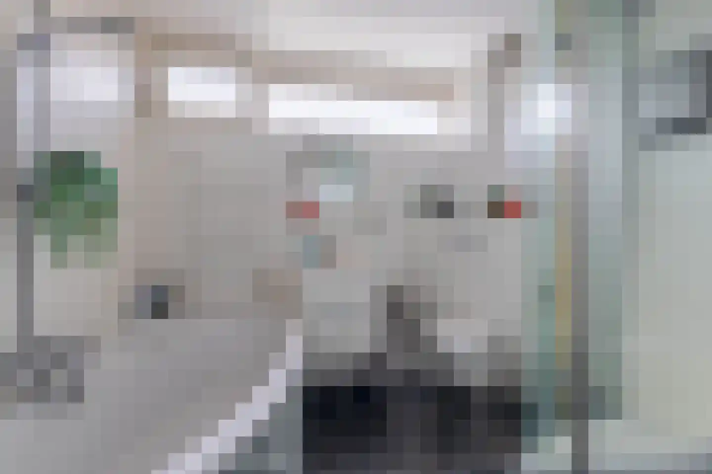 Reigerlaan 10 Ouderkerk aan den IJssel thumbnail 33