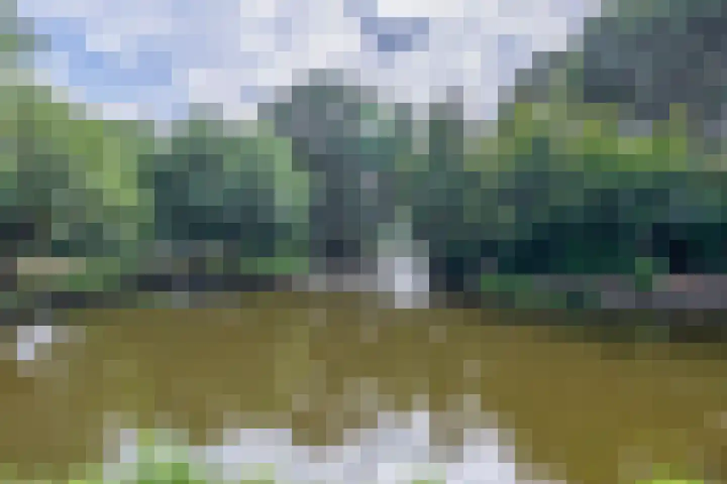 Reigerlaan 10 Ouderkerk aan den IJssel thumbnail 44