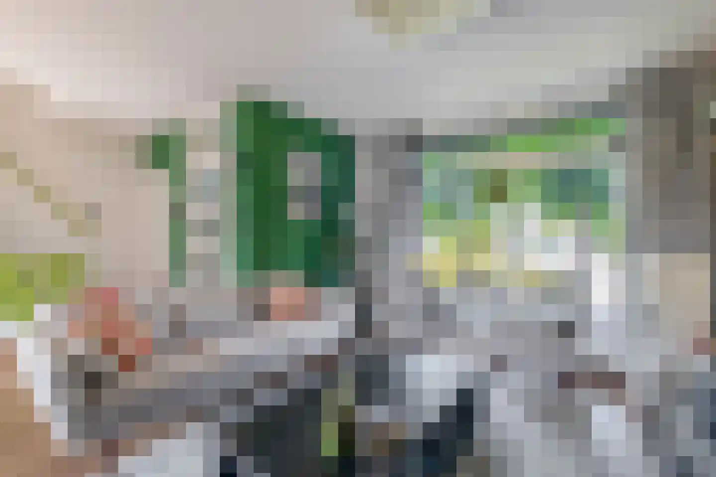 Reigerlaan 10 Ouderkerk aan den IJssel thumbnail 9