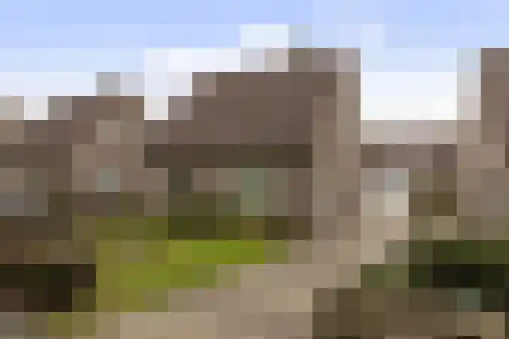 Reigerlaan 11 in Beilen