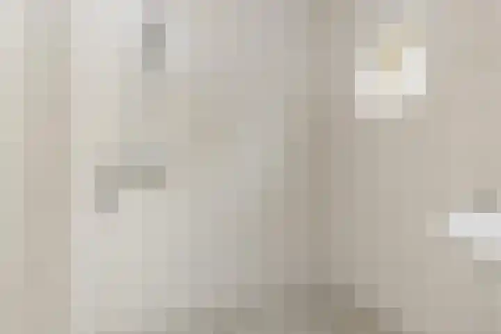 Reigerlaan 11 Beilen thumbnail 10