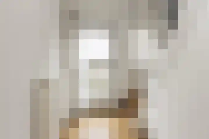 Reigerlaan 11 Beilen thumbnail 11