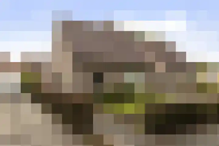 Reigerlaan 11 Beilen thumbnail 15