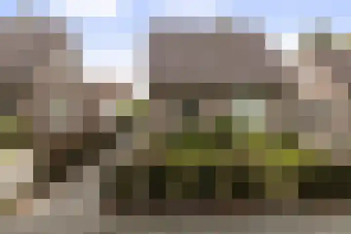 Reigerlaan 11 Beilen foto 2