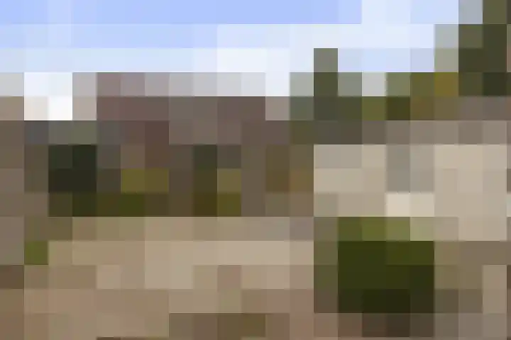 Reigerlaan 11 Beilen foto 3