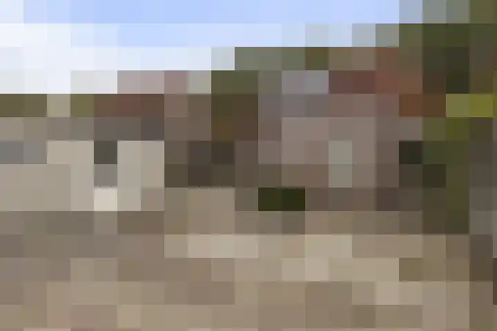 Reigerlaan 11 Beilen thumbnail 4