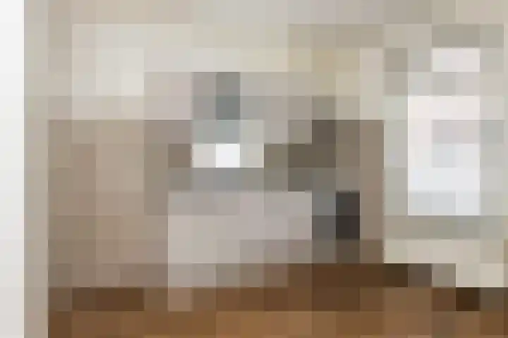 Reigerlaan 11 Beilen thumbnail 7