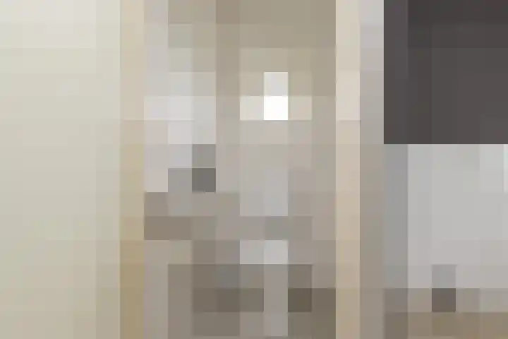 Reigerlaan 11 Beilen thumbnail 8