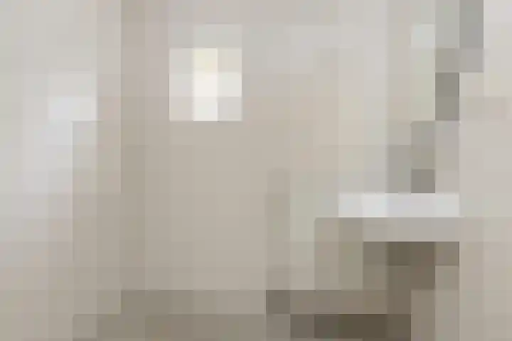 Reigerlaan 11 Beilen thumbnail 9