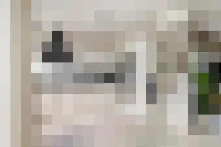 Reigerlaan 12 Bergschenhoek thumbnail 10