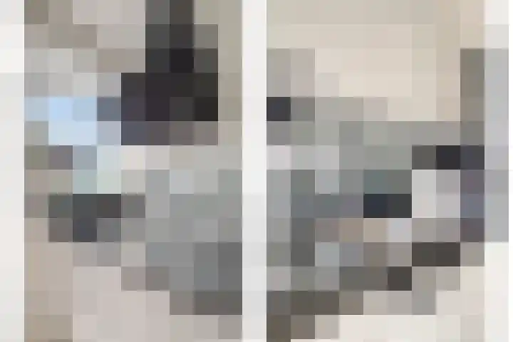 Reigerlaan 12 Bergschenhoek thumbnail 12