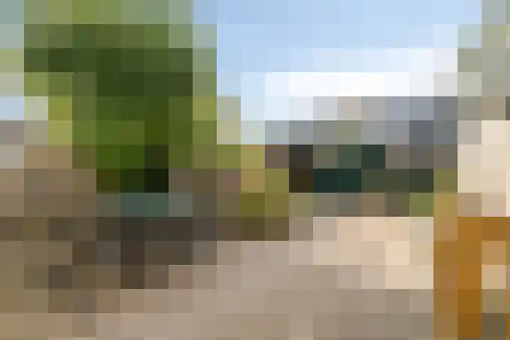 Reigerlaan 12 Bergschenhoek thumbnail 13